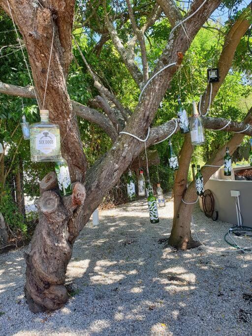 House With Dstv & Wifi & Basic Housekeeping *